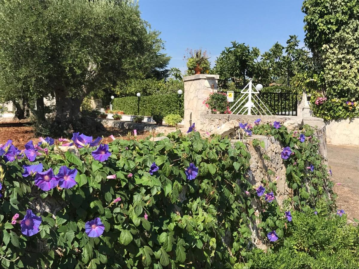 ホテル Il Trullo Di Nonno Angelo San Marco ロコロトンド エクステリア 写真