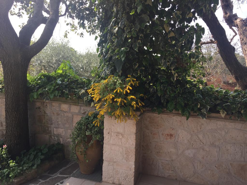 ホテル Il Trullo Di Nonno Angelo San Marco ロコロトンド エクステリア 写真