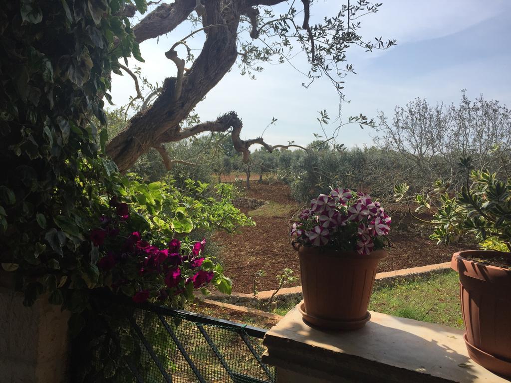 ホテル Il Trullo Di Nonno Angelo San Marco ロコロトンド エクステリア 写真
