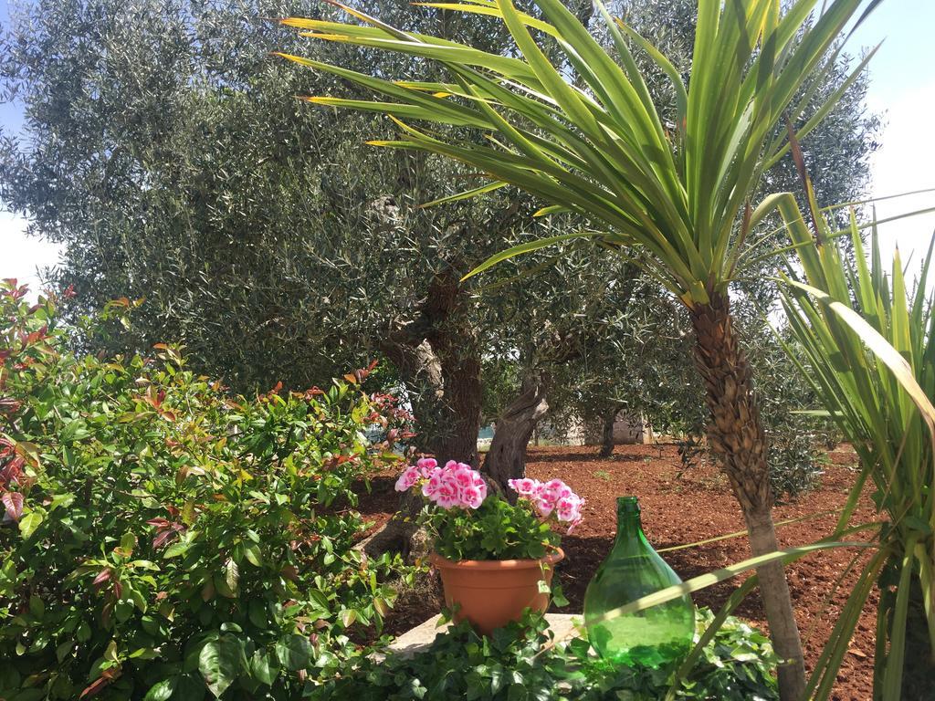 ホテル Il Trullo Di Nonno Angelo San Marco ロコロトンド エクステリア 写真