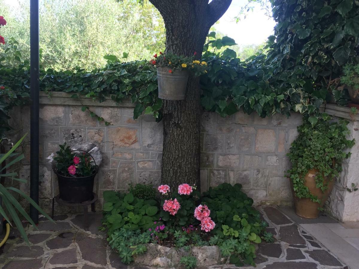 ホテル Il Trullo Di Nonno Angelo San Marco ロコロトンド エクステリア 写真