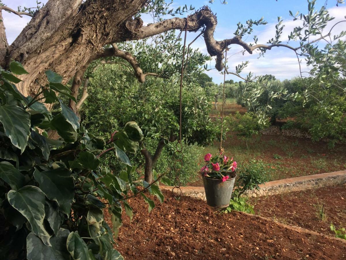 ホテル Il Trullo Di Nonno Angelo San Marco ロコロトンド エクステリア 写真